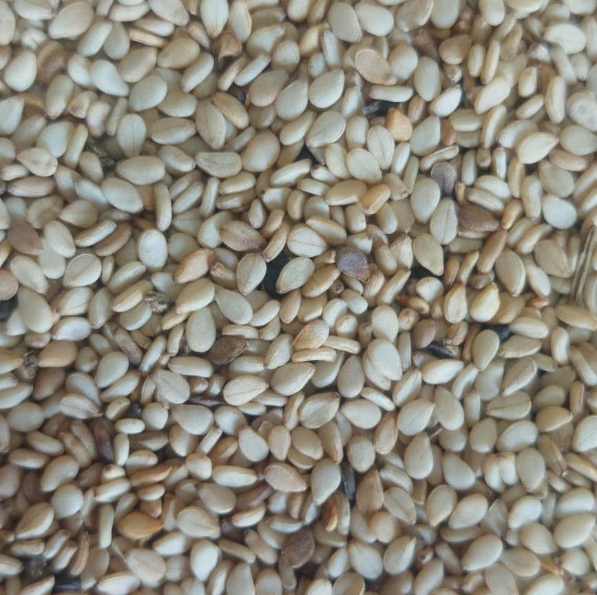 sesame seeds beltan